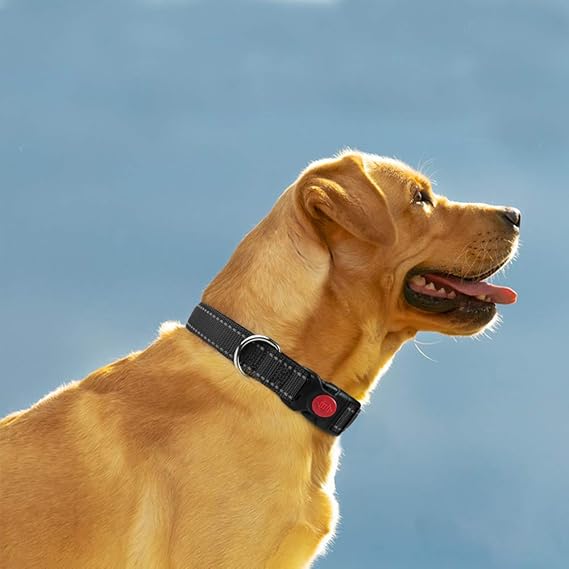 Taglory Reflective Nylon Dog Collar with Safety Buckle, Adjustable Pet Collars with Soft Neoprene Padding for Medium Dogs, Tan