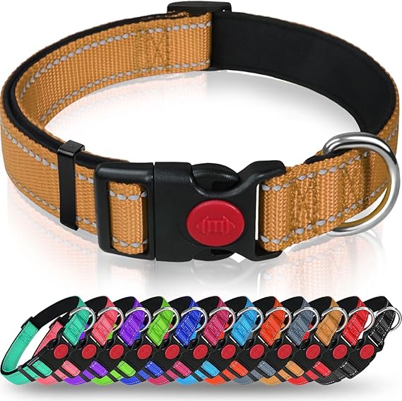 Taglory Reflective Nylon Dog Collar with Safety Buckle, Adjustable Pet Collars with Soft Neoprene Padding for Medium Dogs, Tan